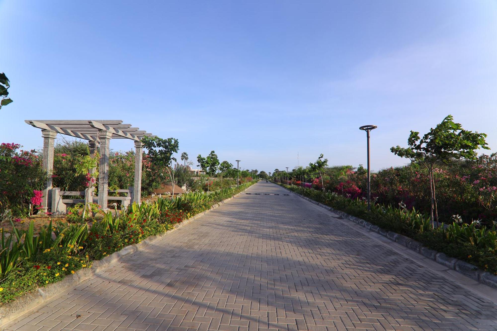 La Palmera 杜蒂戈林 外观 照片
